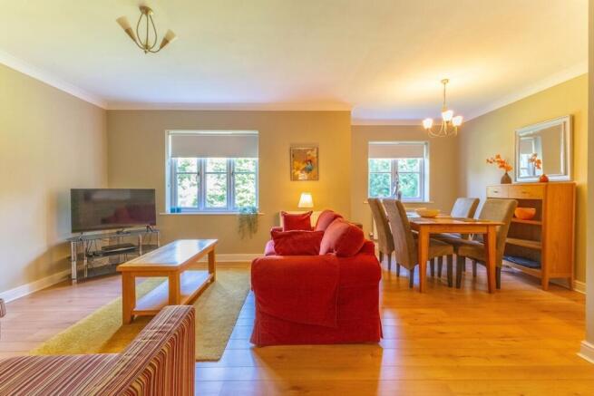 KITCHEN / LIVING AREA