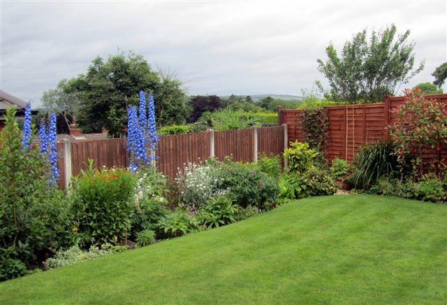 rear garden.
