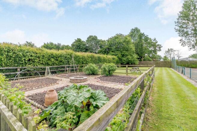 Vegetable Gardens