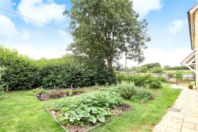 Vegetable Garden
