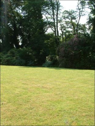 Grounds