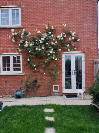Photo 28