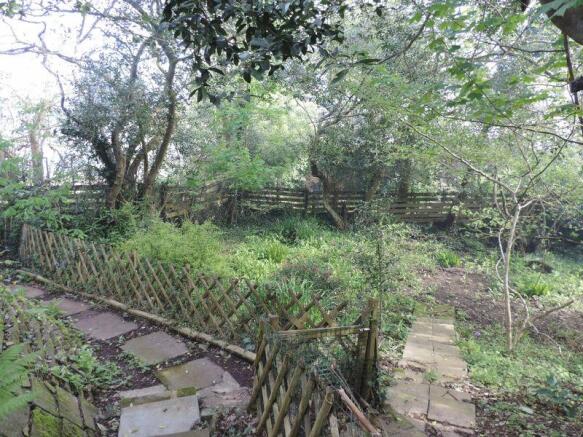 Woodland dell ...