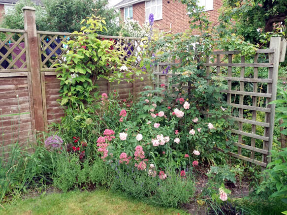 Photo 15