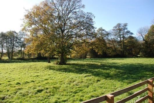 view from garden