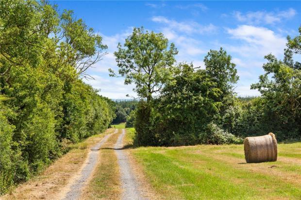 Farm At Newtown