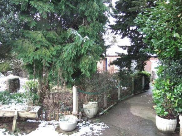 Photo 10