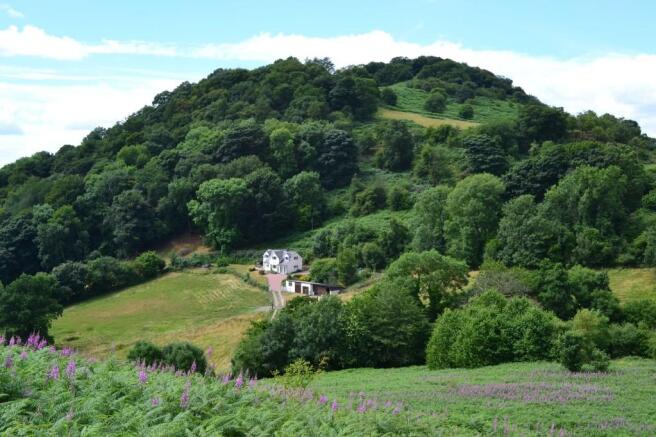 From Middletown Hill