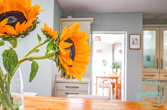 Sunflowers