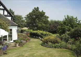 Garden 1