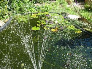 Photo 30