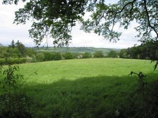 Garden and View