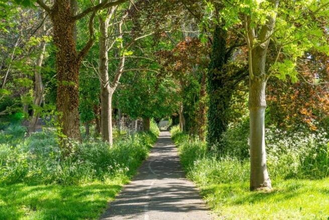 Site General 1 (2).jpg