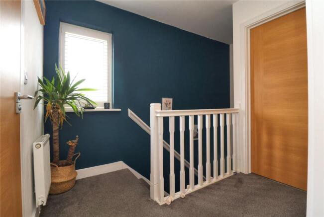 Picture 8