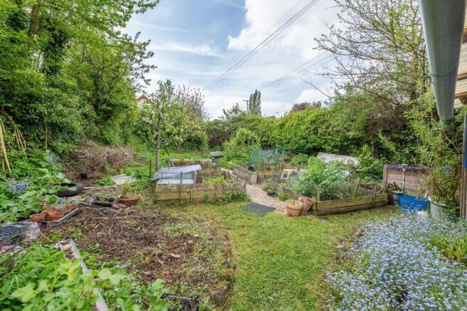 Veg Patch