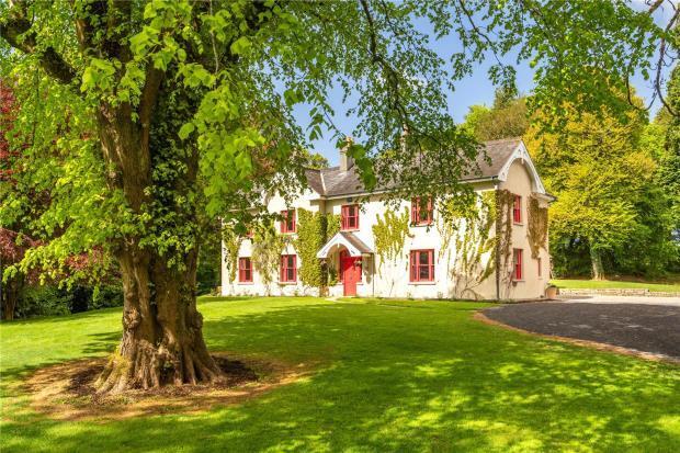 Beech Tree Cottage