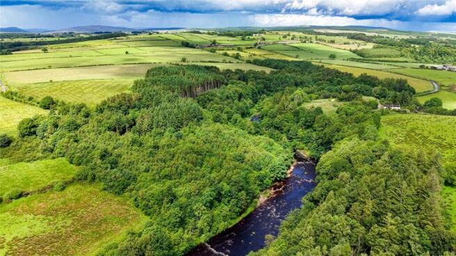 Woodland and River