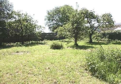 rear garden with pla
