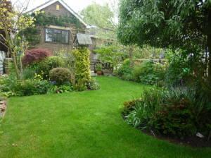 Photo 10