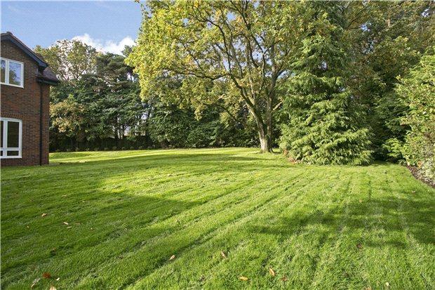 Lawn