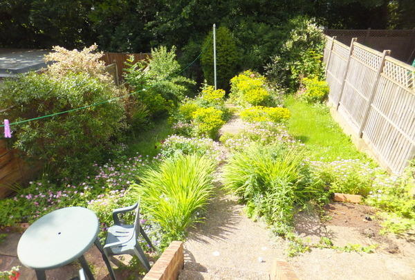 Photo 9