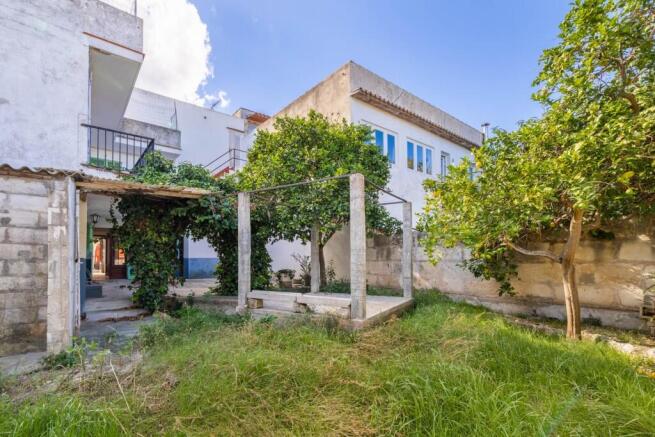 Garden (2)