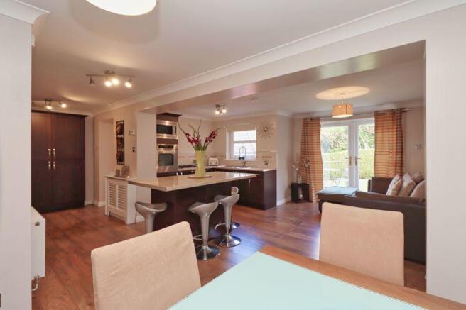 Dining/Kitchen/Family Area