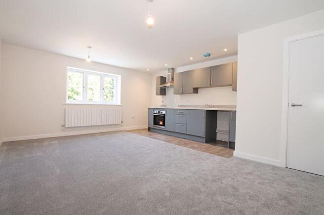 Kitchen/Lounge/Dining Room