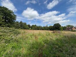 Saltcote Cottage, New England Lane, Rye TN31 7NT