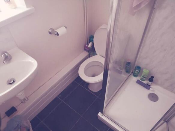 Downstairs Shower Ro