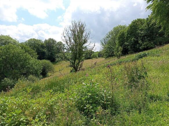 The Sloping Land