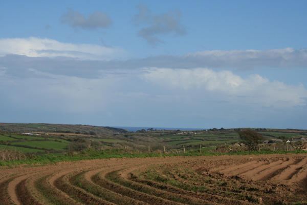 View to Lamorna Cove