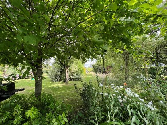 Garden 1