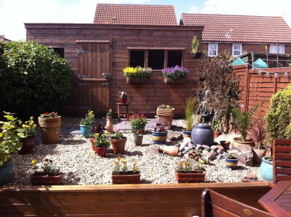 Garden in the summer