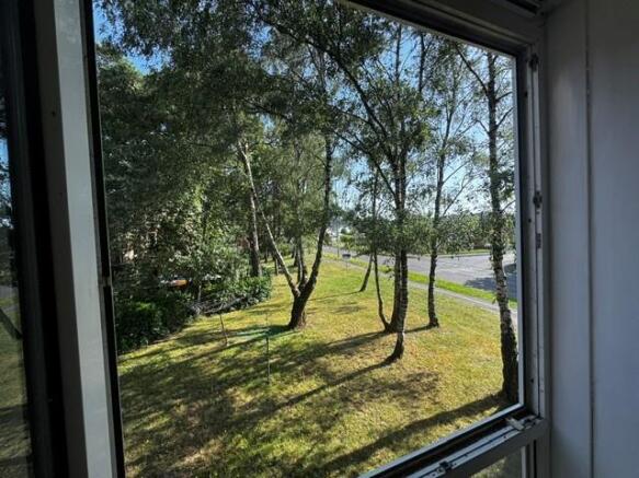55 hasler new view.jpg