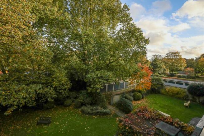 View from Living Room