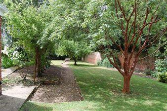 Garden to east side