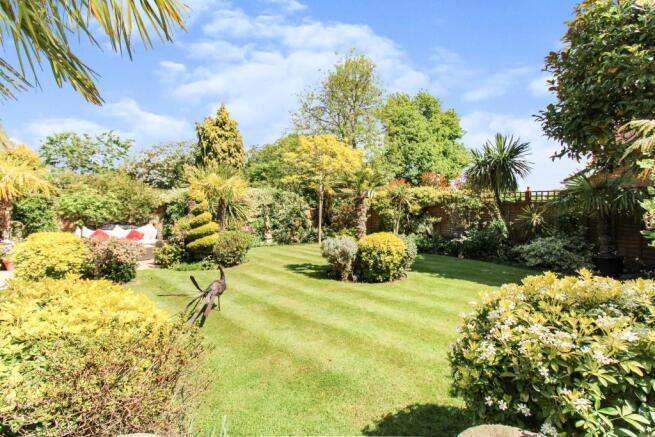 Garden 1.JPG