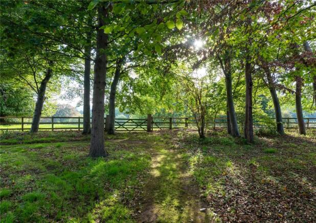 Woodland