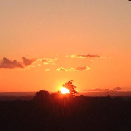 Sunset