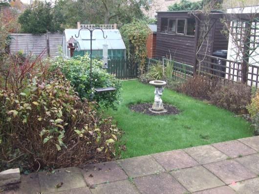 Garden view 2