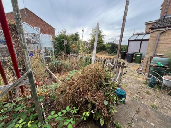 40 cordon garden.jpg