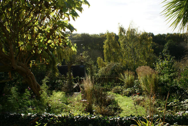 Photo 25