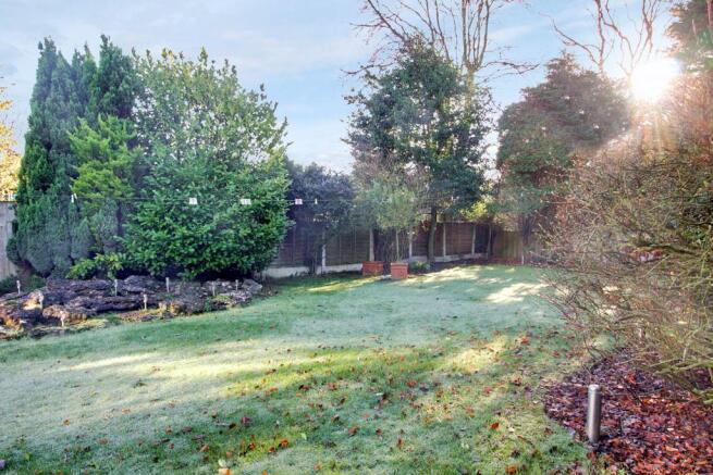 Garden at Back