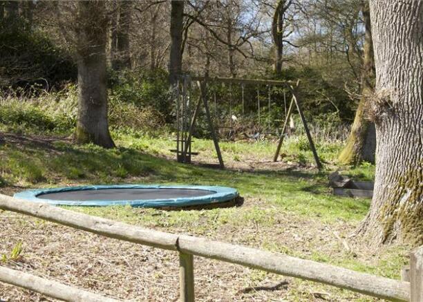 Woodland Area