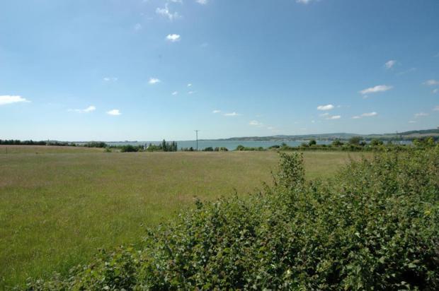 View From Garden