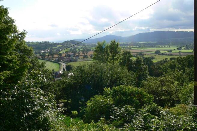 The View