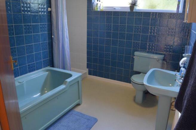 Photo 11