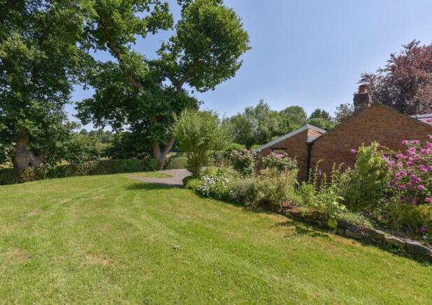 garden 1.jpeg