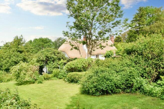 Rear gardens